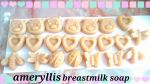 ameryllis nature
breast milk soap making service 

handmade soap